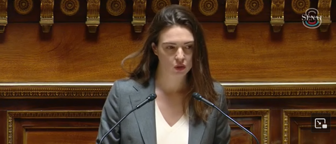 Sophie Briante Guillemont au Sénat